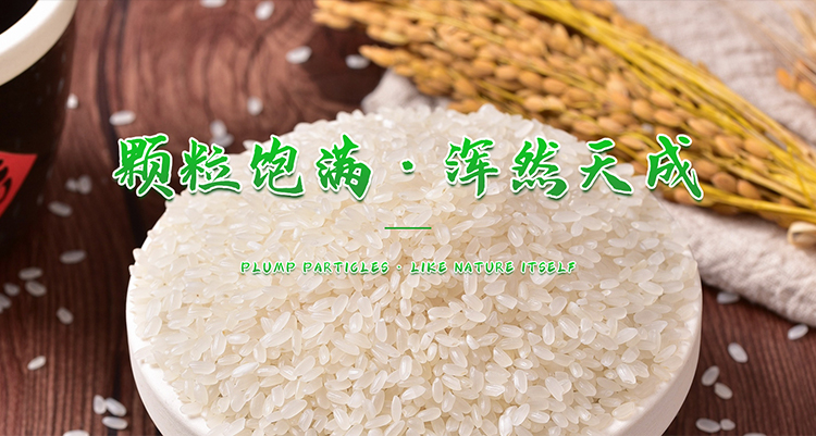 原阳县丰达米业有限公司